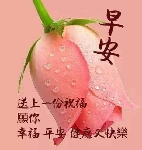 早安圖下載